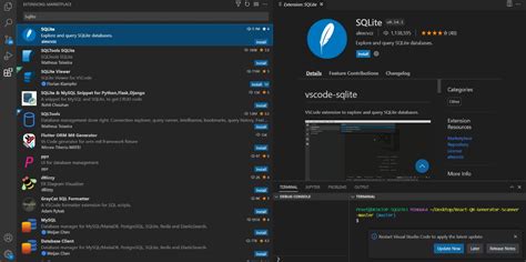Visual Studio SQLite 的图像结果
