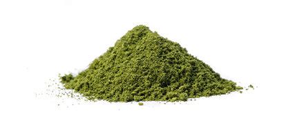 Anti-Pollution Face Wash | Matcha & Orange Peel – The Man Company