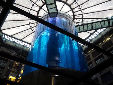 Aquarium DIY Tree Stump 的图像结果