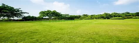 DLF Gardencity Enclave | DLF Plots Sector93 Gurugram