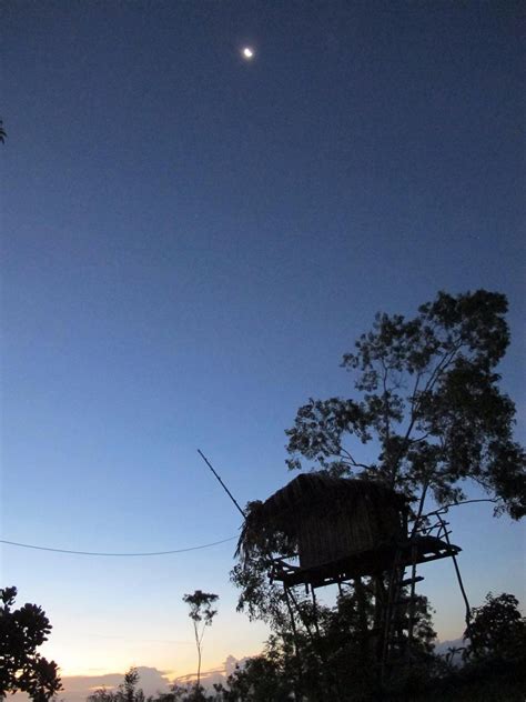 RUMAH POHON TREE HOUSE (Bali/Nusa Dua) - Campground Reviews, Photos ...