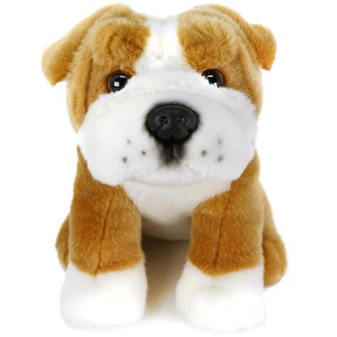 English bulldog teddy new arrivals