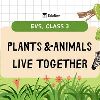PPT: Plants and Animals Live Together - Science Olympiad for Class 3 ...