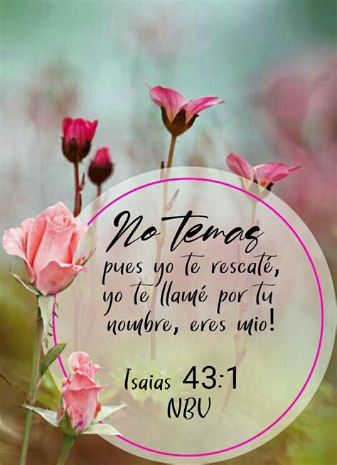 Versiculos Biblicos De Fortaleza Versículos Bíblicos Que Te