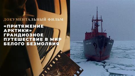 «Притяжение Арктики». Грандиозное путешествие в мир белого безмолвия ...