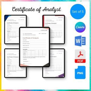 Image result for Program Analyst Certification