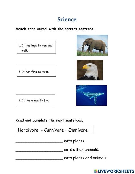 Image result for Science Testing