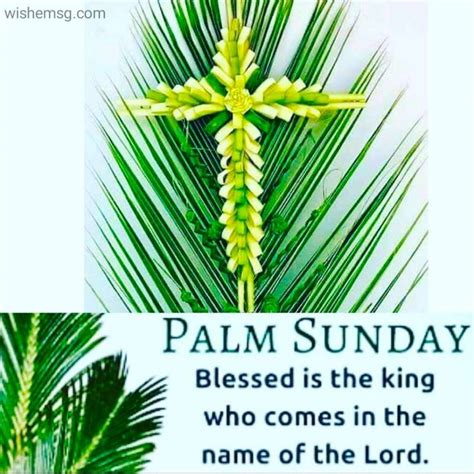 200+Happy Palm Sunday Greetings Wishes Message - Wishemsg.Com