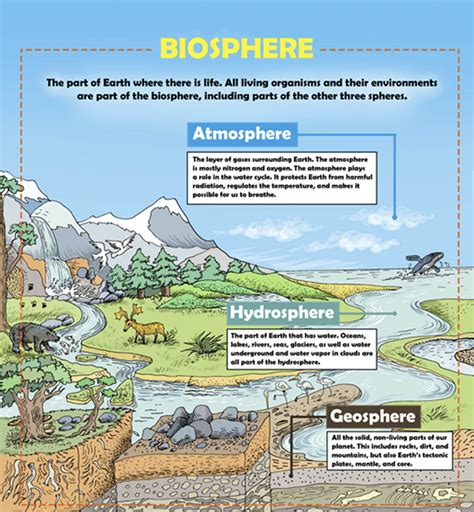 Biosphere Examples 的图像结果