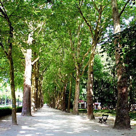 PARC ELISABETH (2026) All You Need to Know BEFORE You Go (with Photos ...