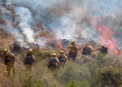 Image result for Firefighting DSU