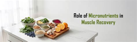 Top 7 Role of Micronutrients in Muscle Recovery for Vegetarians ...
