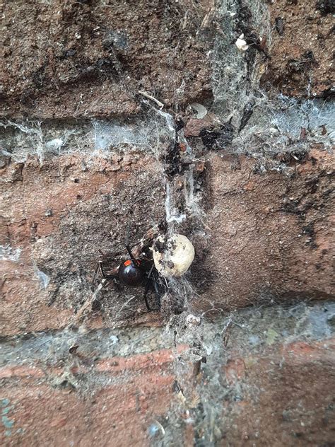 CENTRAL-CLEMSON RECREATION CENTER - Central SC - Hours, Directions ...