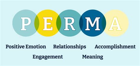 Image result for Perma Model