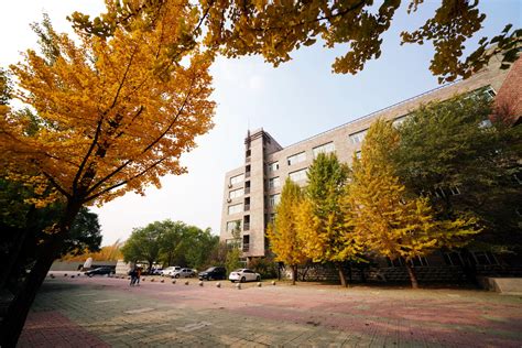 沈阳理工大学排名-沈阳理工大学排名,沈阳理工大学,排名 - 早旭阅读