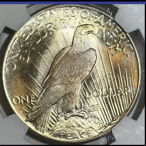 1925 Peace Dollar NGC MS-67+ CAC - Bob Paul Rare Coins