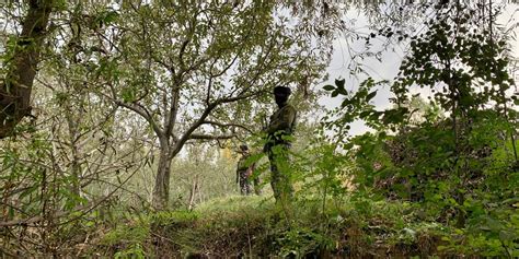 CRPF Jawan Killed in J&K Day After Militant Attack on Army Outpost ...