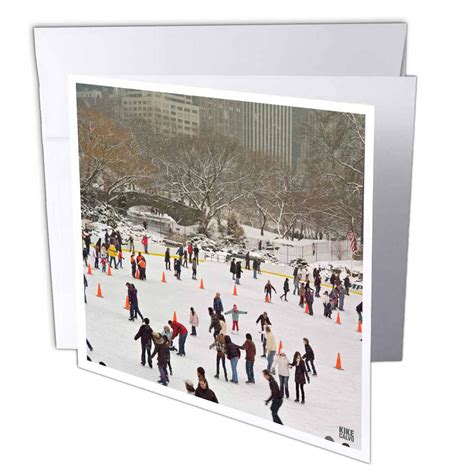 3D Rose gc_10309_2 Snow blizzard in Central Park Manhattan New York ...