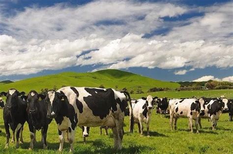 大农业 的图像结果