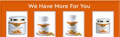 Buy Cordy Gold Cordyceps Militaris Mushroom Dried Fruiting Body ...