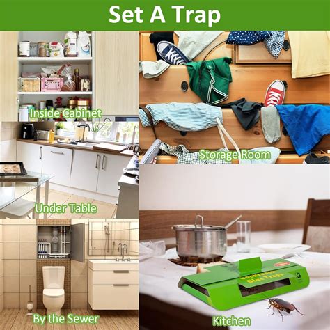 Buy 24 Pack Roach Traps Indoor, Roach Killer Indoor Infestation Glue ...