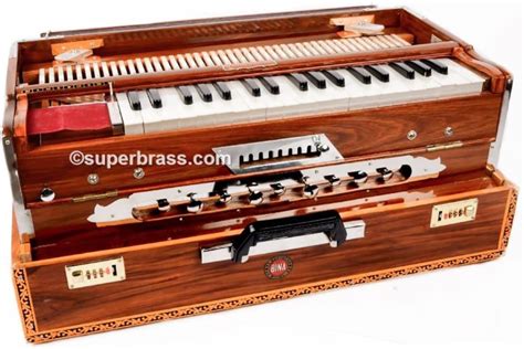 Indofrance Concert Grade Bina Pro-grade Indian Portable 9-scale India ...