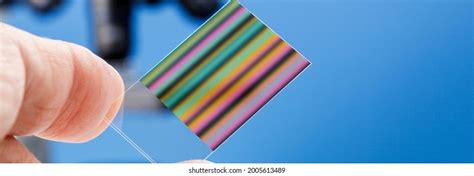 Image result for DNA Fingerprinting Graph