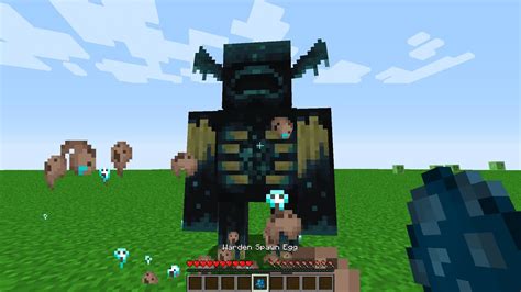 Image result for How to Spawn a Warden Java