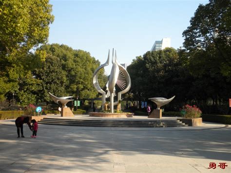 游遍上海公园-闵行区-莘城中央公园|老小孩讲述
