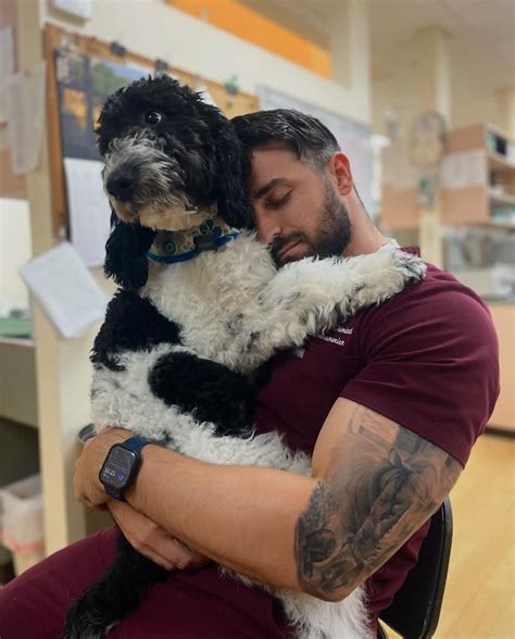 Gallery - Tuscawilla Animal Hospital | Great 5 Star Rated Winter ...