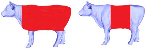 A Korean Cattle Weight Prediction Approach Using 3D Segmentation-Based ...