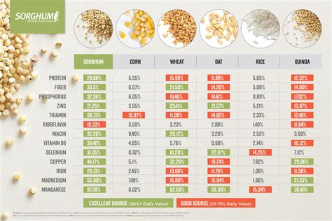 Nutrition - Sorghum Checkoff