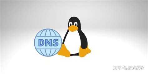 如何刷新 DNS 缓存 (macOS, Linux, Windows) - 知乎