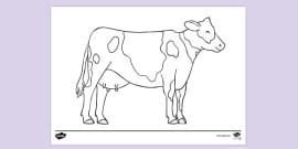 Fat Cow Colouring | Colouring Sheet (teacher made) - Twinkl