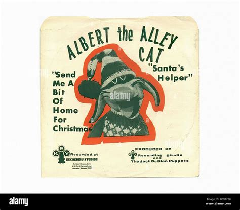 Albert The Alley Cat