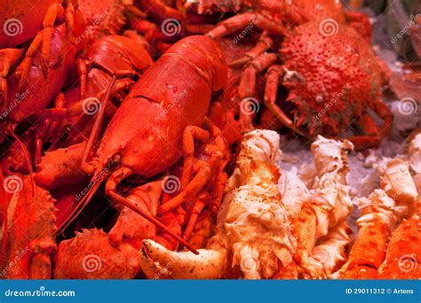 Crabs and lobsters on ice. stock photo. Image of lobster - 29011312