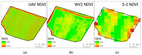 Remote Sensing Vegetation Indices in Viticulture: A Critical Review