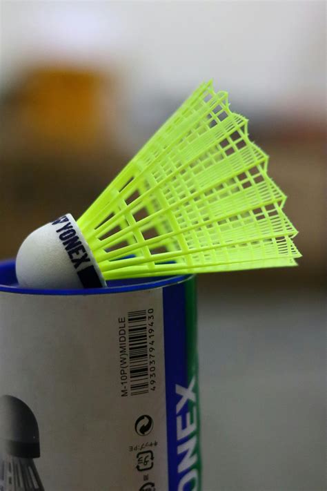 Playing Badminton 的图像结果