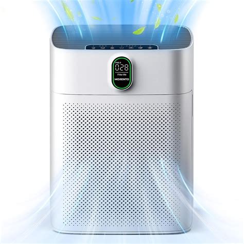 Natural Air Purifier