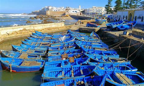 ESSAOUIRA FISHING PORT (2025) All You Need to Know BEFORE You Go (with ...
