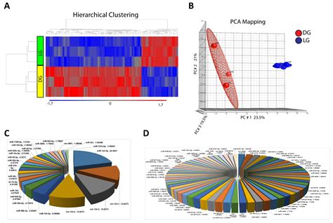 Possible Role of Endothelial-Derived Cellular and Exosomal-miRNAs in ...
