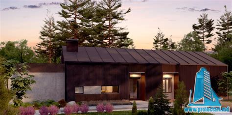 Proiecte Case Mici Parter 的图像结果