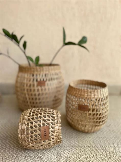 TESU Seagrass Plant Holder Indoor Flower Plant Holder Cylindrical Shape ...