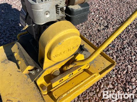 Image result for Remote Wacker Plate Compactor