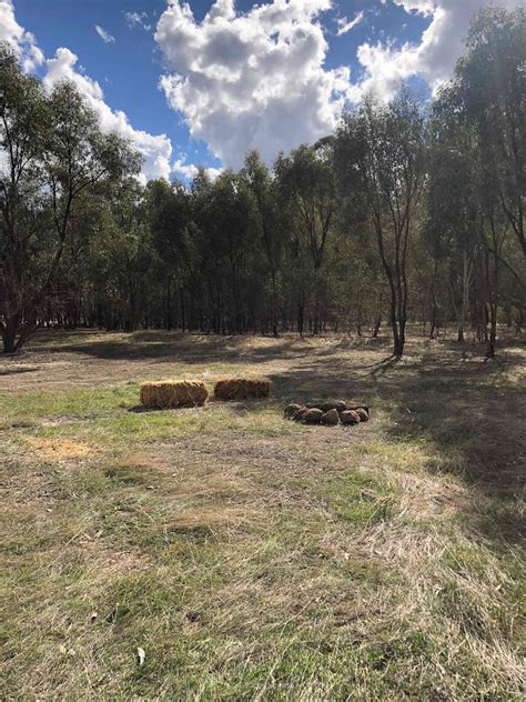 Caravan Camping in Victoria: Best Victoria Caravan Parks 2025 | Hipcamp