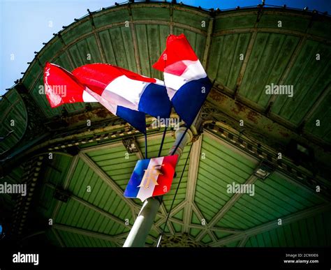 Vichy france flag hi-res stock photography and images - Alamy