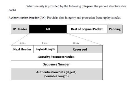 Image result for IP Security Authentication Header Diagram