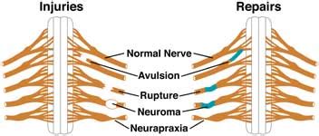 Image result for Non-Routine Task Signs