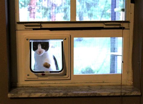 Window Cat Door Diy - DIY Home Renovation Ideas