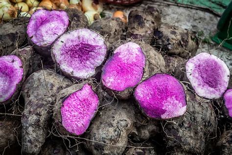 https://cdn.shopify.com/s/files/1/0940/0333/1404/files/ube-origine-philippines-igname-violet.png?v=1748950071